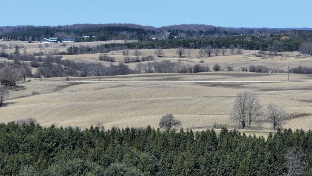 danielaplants-com_1fb